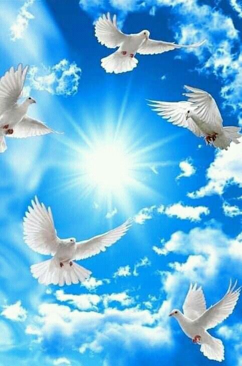 Heavenly Dove