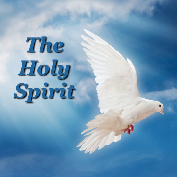 Divine Ministration 8: Possess Us Oh Holy Spirit post thumbnail image